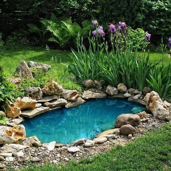 37 idées d'étangs de jardin avec des cascades 16