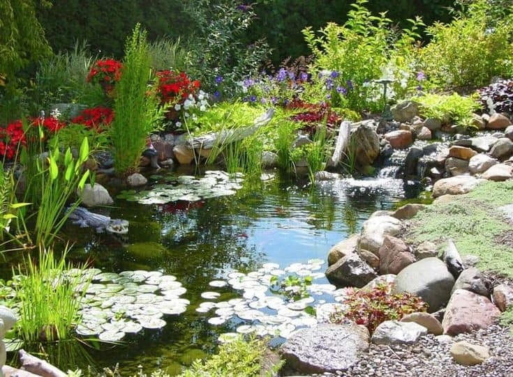 37 idées d'étangs de jardin avec des cascades 19