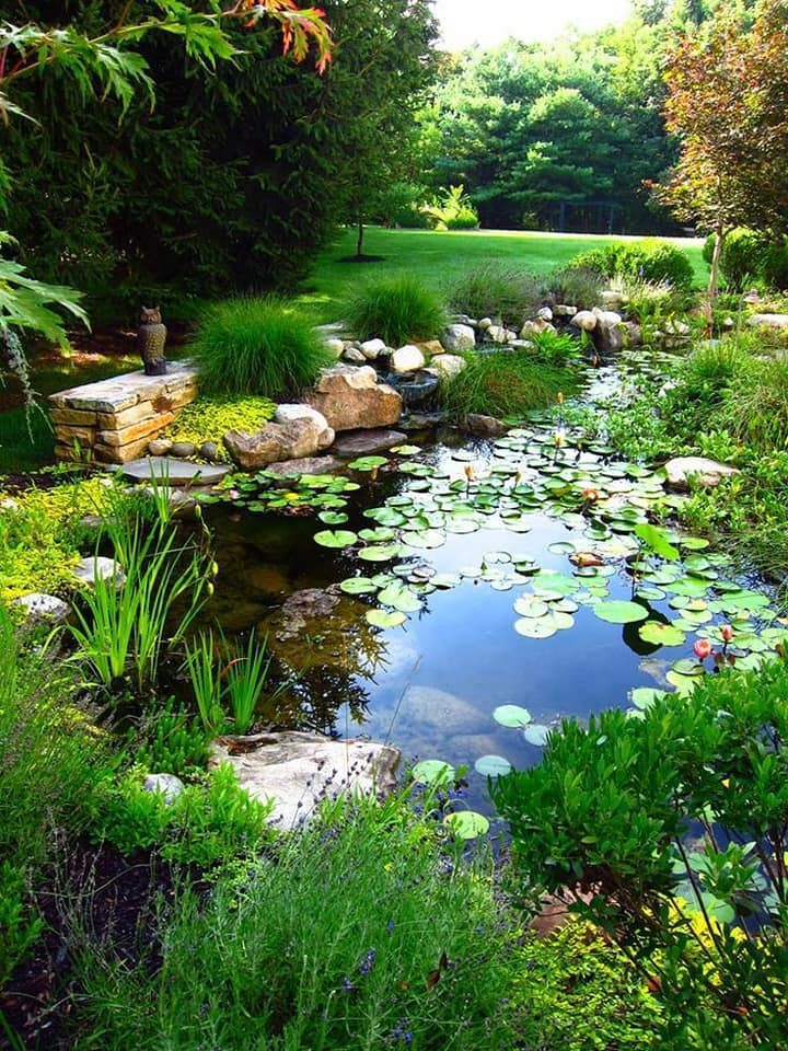 37 idées d'étangs de jardin avec des cascades 21