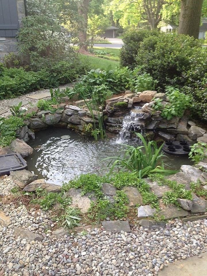 37 idées d'étangs de jardin avec des cascades 22