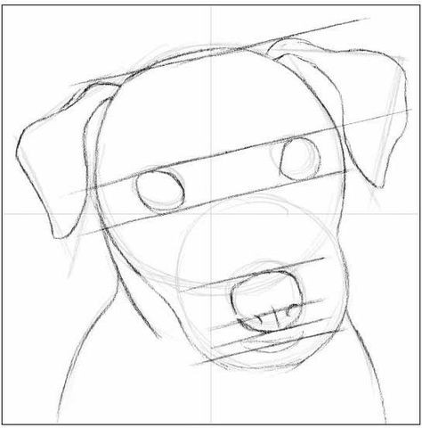 57 idées de dessins de chien pour apprendre à dessiner des chiens 39