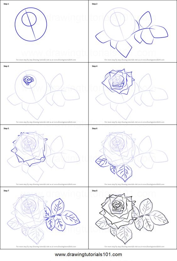 50 idées & tutos de dessins de fleurs 38