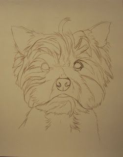 57 idées de dessins de chien pour apprendre à dessiner des chiens 43