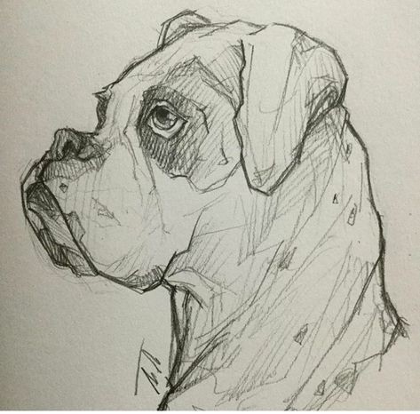 57 idées de dessins de chien pour apprendre à dessiner des chiens 49