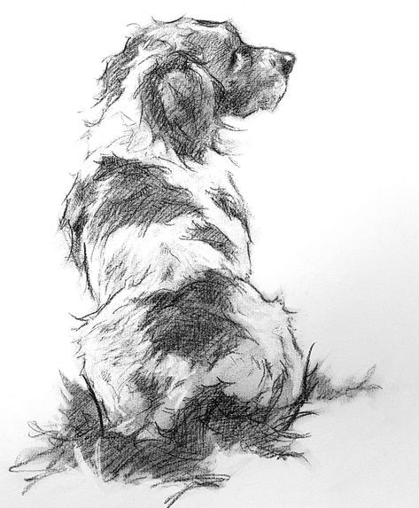 57 idées de dessins de chien pour apprendre à dessiner des chiens 51