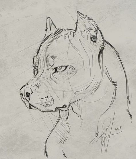 57 idées de dessins de chien pour apprendre à dessiner des chiens 56
