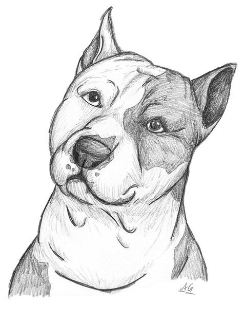 57 idées de dessins de chien pour apprendre à dessiner des chiens 26
