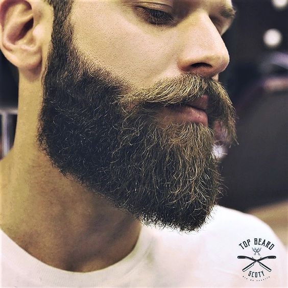Les 46 plus belles idées de barbes pour homme 13