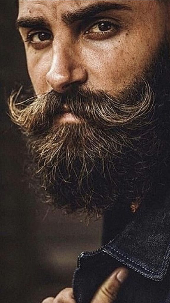 Les 46 plus belles idées de barbes pour homme 21
