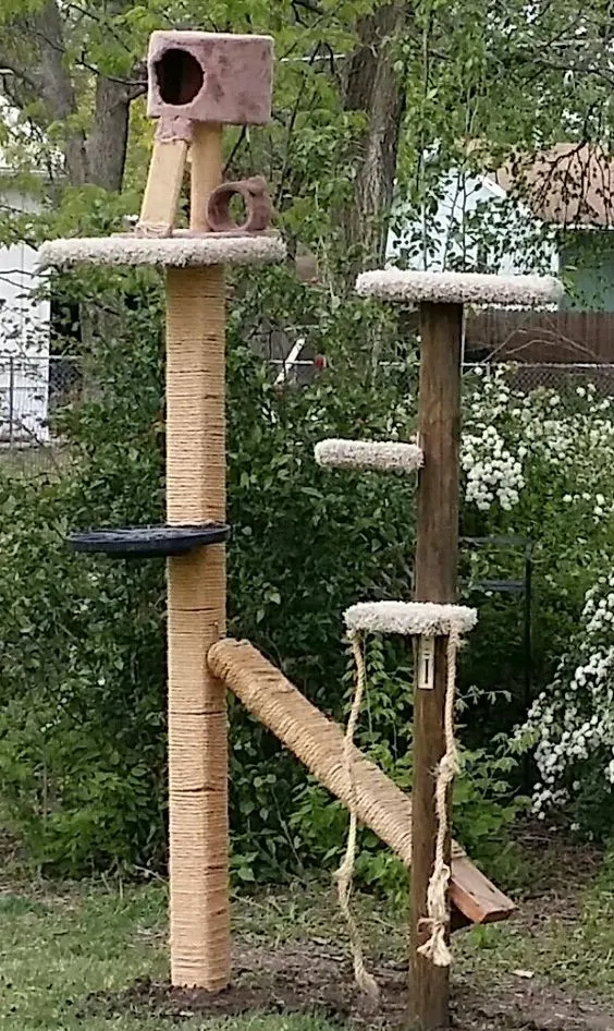 30 idées de Catio (Patios pour chat) totalement géniales à faire soi-même 11 30 idées de Catio (Patios pour chat) totalement géniales à faire soi-même 11