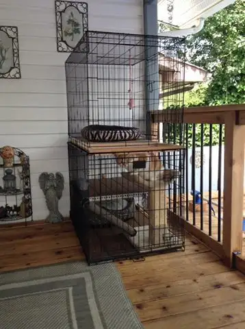 30 idées de Catio (Patios pour chat) totalement géniales à faire soi-même 13