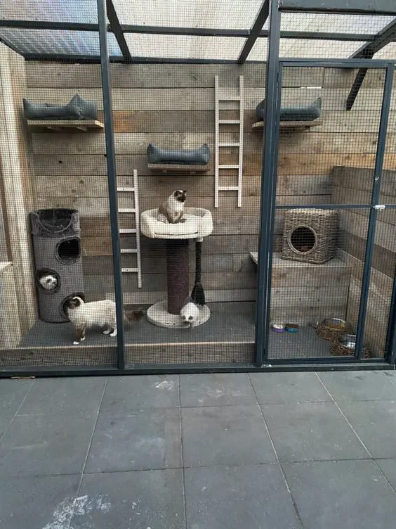 30 idées de Catio (Patios pour chat) totalement géniales à faire soi-même 14