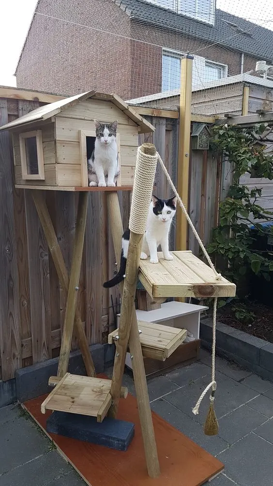 30 idées de Catio (Patios pour chat) totalement géniales à faire soi-même 15