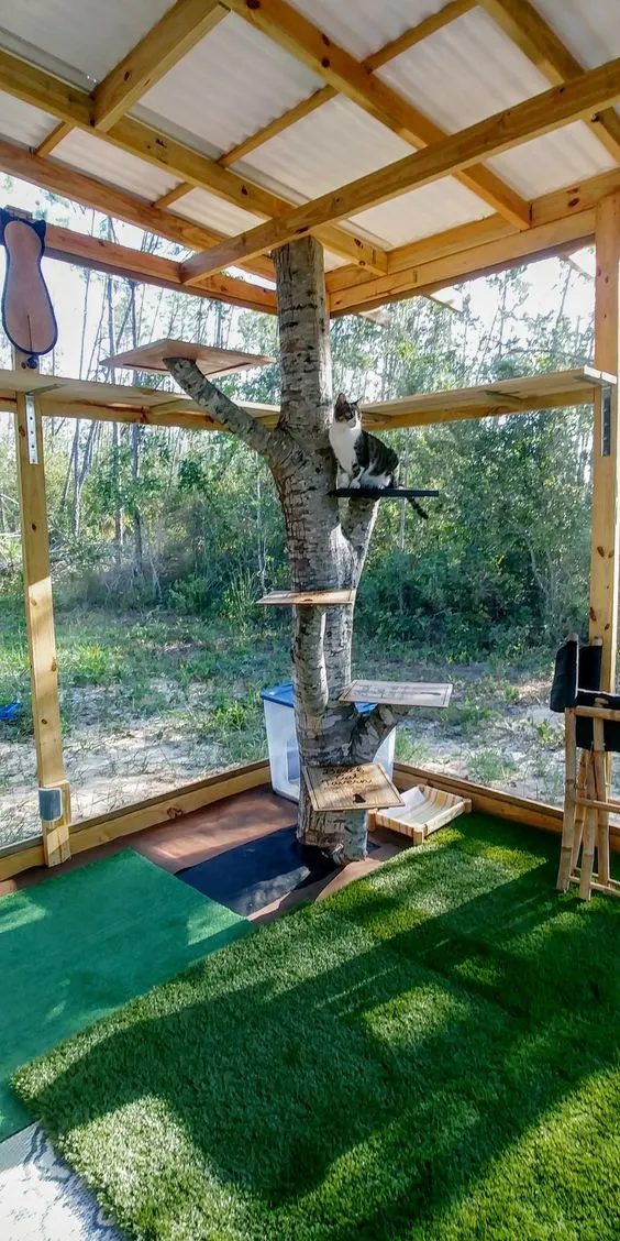 30 idées de Catio (Patios pour chat) totalement géniales à faire soi-même 17 30 idées de Catio (Patios pour chat) totalement géniales à faire soi-même 17