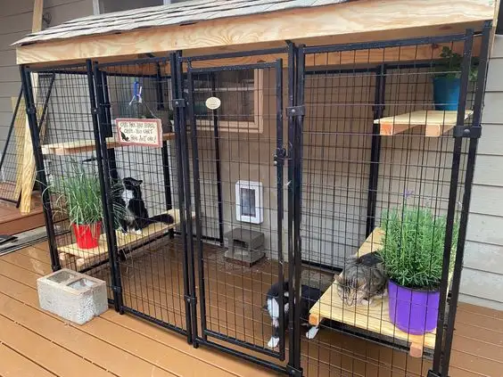 30 idées de Catio (Patios pour chat) totalement géniales à faire soi-même 20