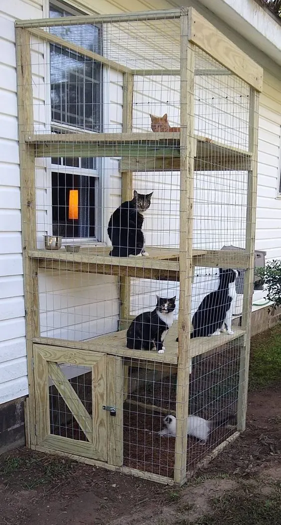 30 idées de Catio (Patios pour chat) totalement géniales à faire soi-même 19