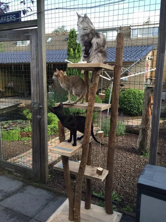 30 idées de Catio (Patios pour chat) totalement géniales à faire soi-même 24 30 idées de Catio (Patios pour chat) totalement géniales à faire soi-même 24