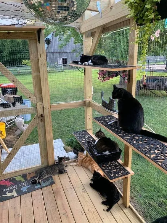 30 idées de Catio (Patios pour chat) totalement géniales à faire soi-même 27