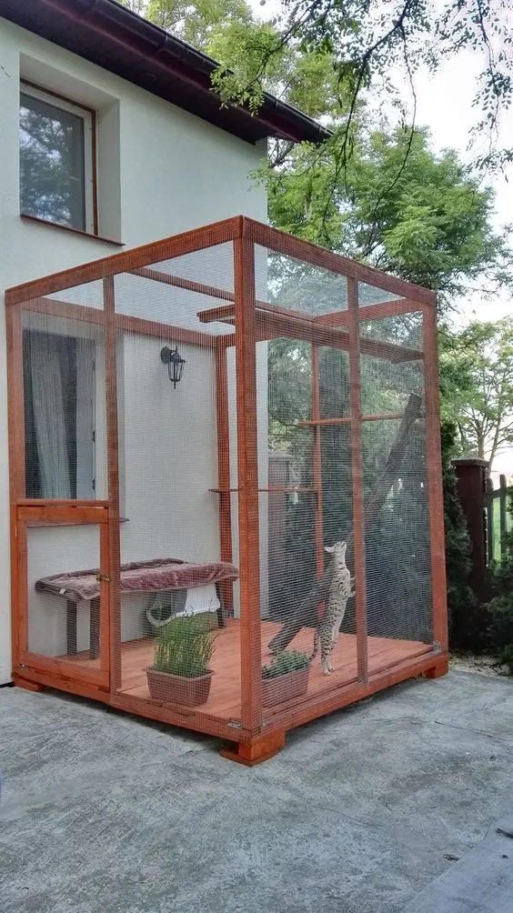 30 idées de Catio (Patios pour chat) totalement géniales à faire soi-même 28