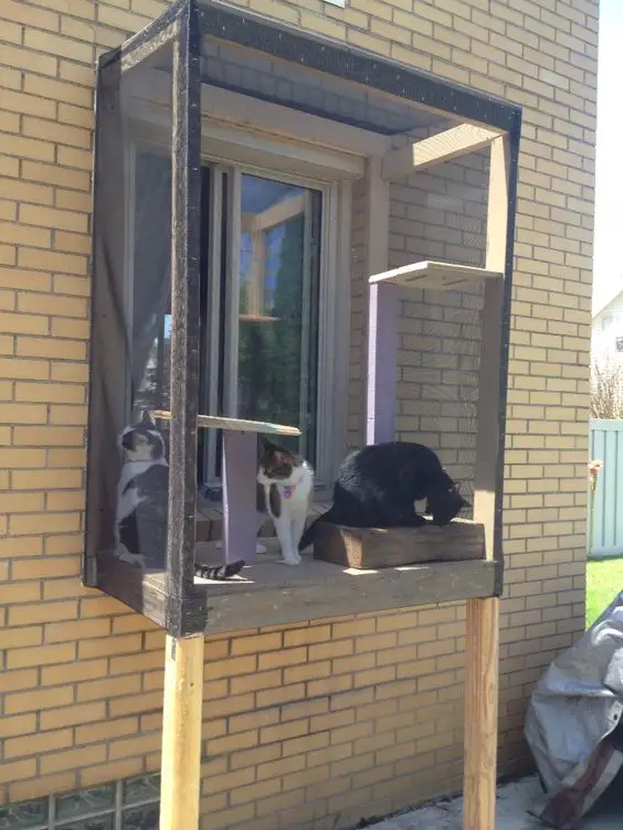 30 idées de Catio (Patios pour chat) totalement géniales à faire soi-même 29 30 idées de Catio (Patios pour chat) totalement géniales à faire soi-même 29