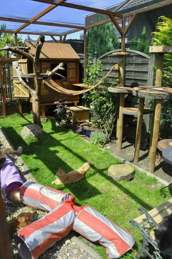 30 idées de Catio (Patios pour chat) totalement géniales à faire soi-même 31