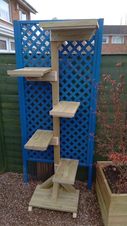 30 idées de Catio (Patios pour chat) totalement géniales à faire soi-même 5 30 idées de Catio (Patios pour chat) totalement géniales à faire soi-même 5