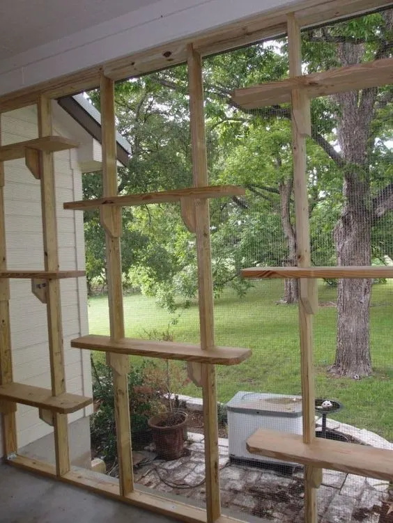 30 idées de Catio (Patios pour chat) totalement géniales à faire soi-même 6 30 idées de Catio (Patios pour chat) totalement géniales à faire soi-même 6