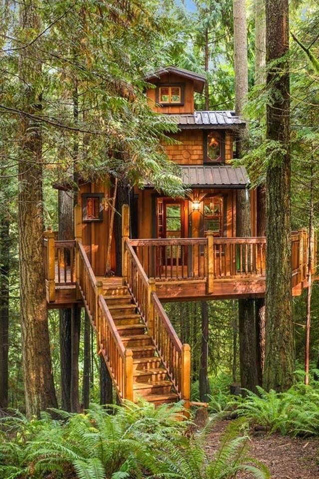 18 idées de maisons en bois qui font rêver 3