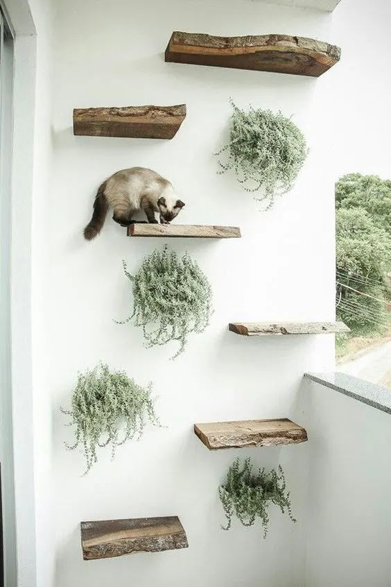 30 idées de Catio (Patios pour chat) totalement géniales à faire soi-même 10 30 idées de Catio (Patios pour chat) totalement géniales à faire soi-même 10