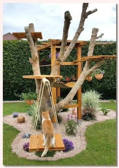 30 idées de Catio (Patios pour chat) totalement géniales à faire soi-même 8 30 idées de Catio (Patios pour chat) totalement géniales à faire soi-même 8