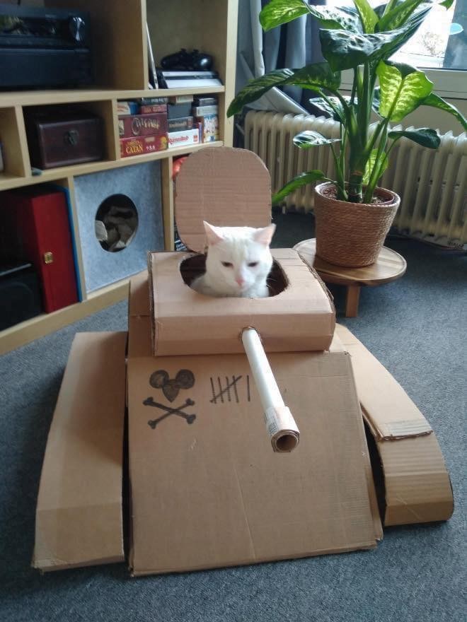 21 idées de maisons pour chat en forme de tanks 1