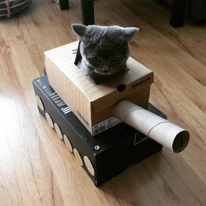 21 idées de maisons pour chat en forme de tanks 6