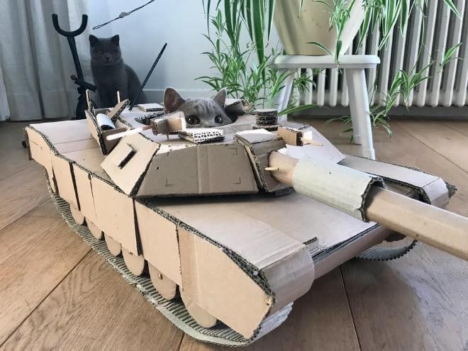 21 idées de maisons pour chat en forme de tanks 21