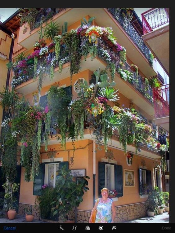 29 top idées de jardinières pour balcon 6