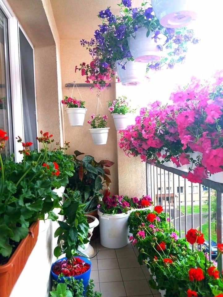 29 top idées de jardinières pour balcon 7