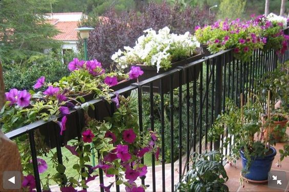 29 top idées de jardinières pour balcon 8