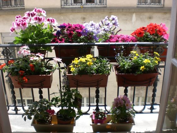 29 top idées de jardinières pour balcon 15