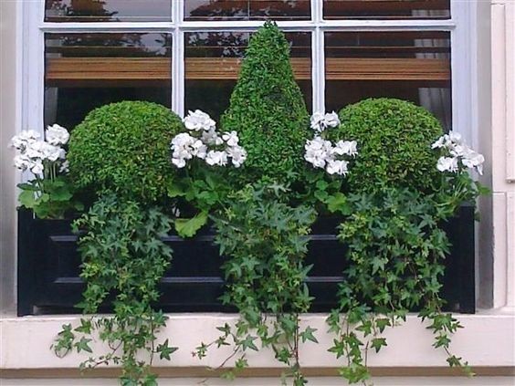 29 top idées de jardinières pour balcon 18