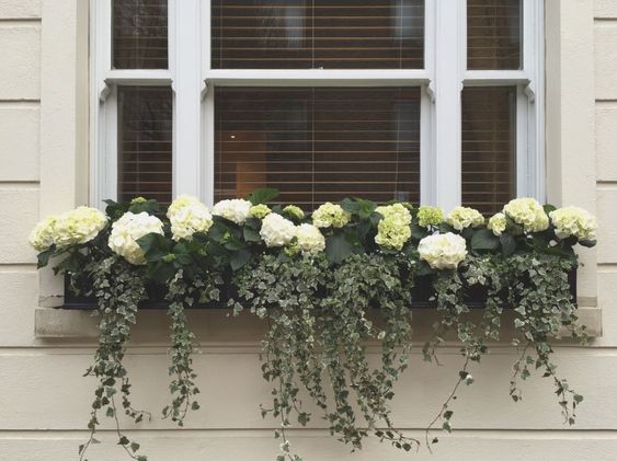29 top idées de jardinières pour balcon 19