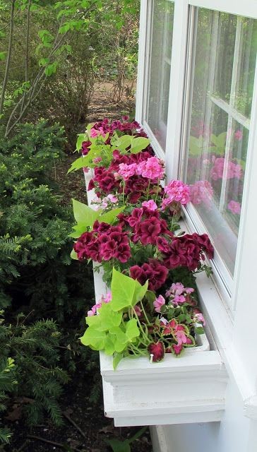 29 top idées de jardinières pour balcon 26
