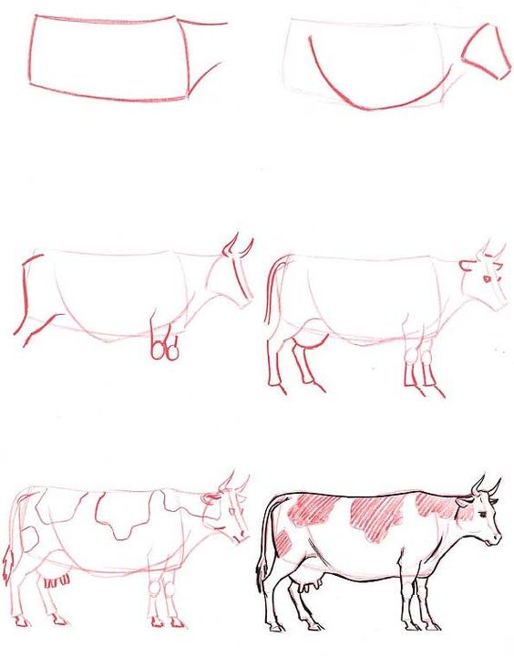 68 top idées pour apprendre à dessiner des animaux 3