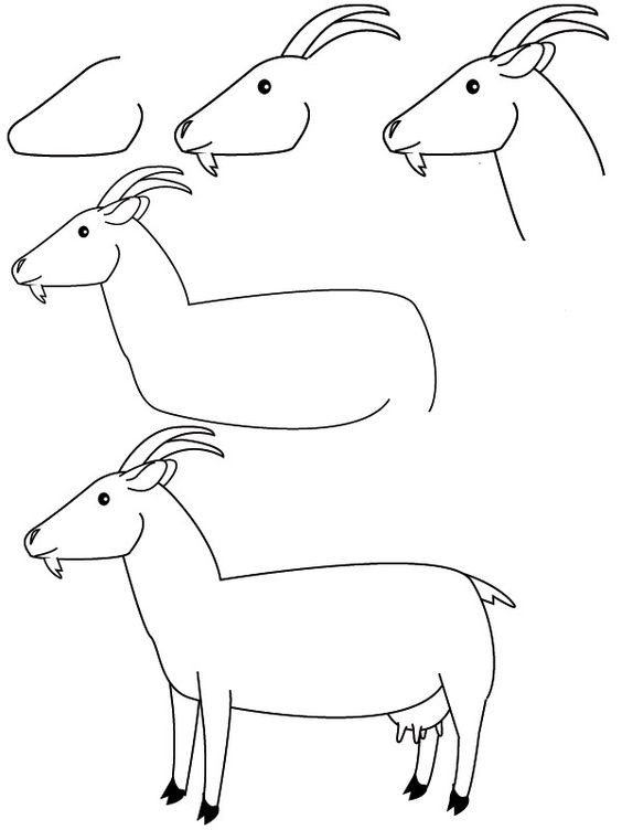 68 top idées pour apprendre à dessiner des animaux 7