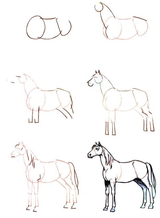 68 top idées pour apprendre à dessiner des animaux 13