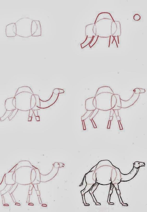 68 top idées pour apprendre à dessiner des animaux 16