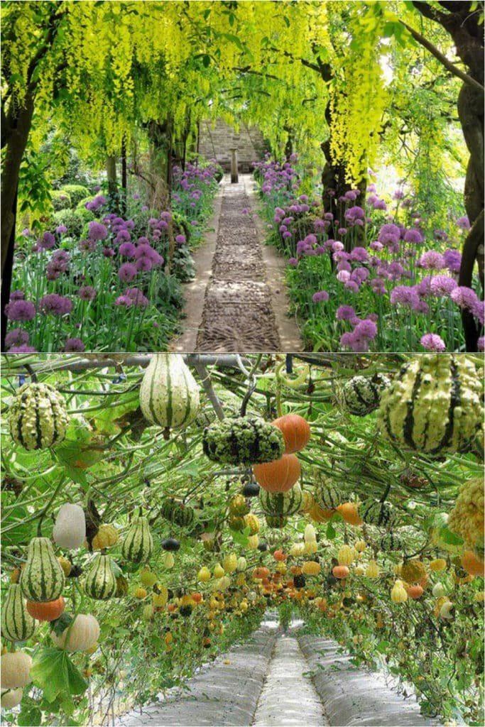12 décorations et structures de jardin vivantes incroyables à bricoler 7 12 décorations et structures de jardin vivantes incroyables à bricoler 7