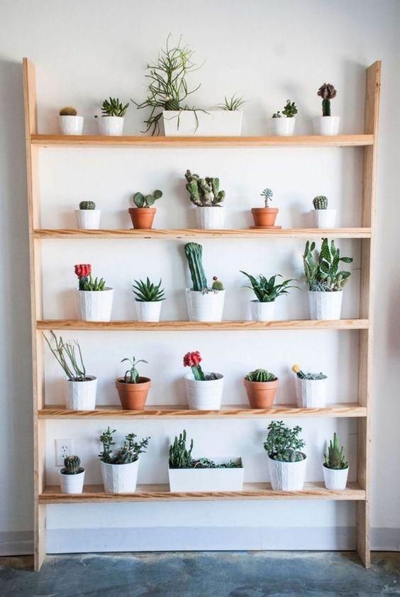 24 idées d'étagères pour plantes à faire soi-même avec du bois 6 24 idées d'étagères pour plantes à faire soi-même avec du bois 6