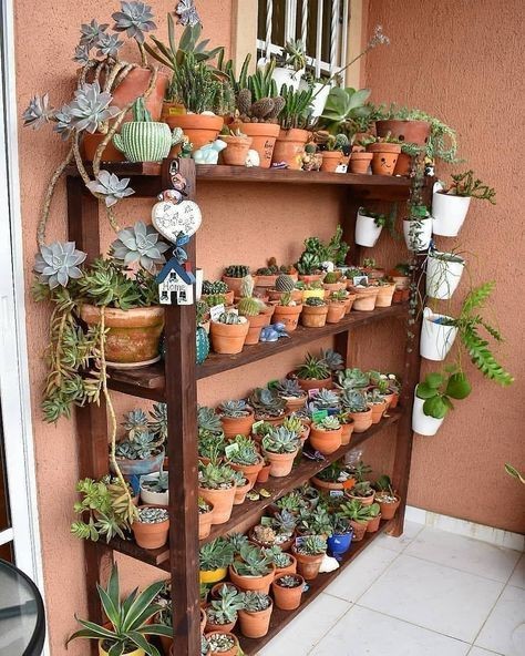 24 idées d'étagères pour plantes à faire soi-même avec du bois 10