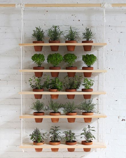 16 idées pour cultiver des aromates et avoir un jardin d'intérieur qui sent bon 12