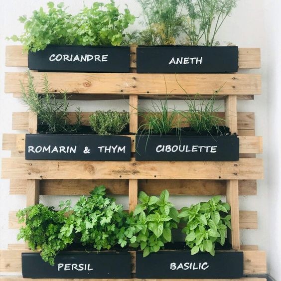 16 idées pour cultiver des aromates et avoir un jardin d'intérieur qui sent bon 7