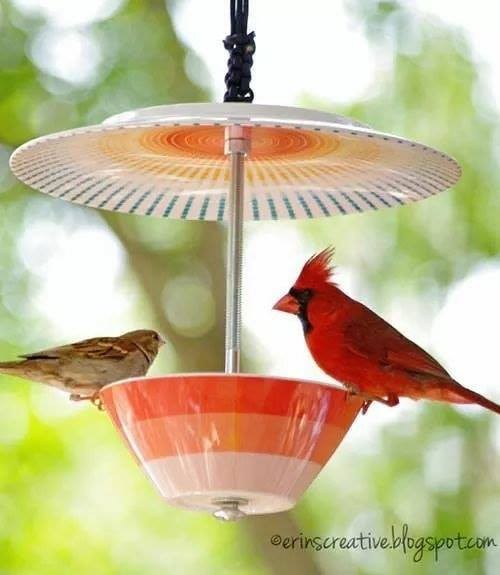 12 idées de mangeoires à oiseaux vraiment très mignons 12